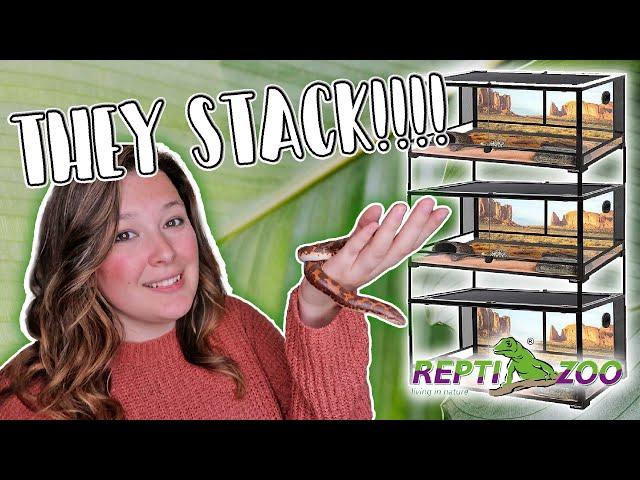 New Snake Enclosures (Hognoses and Sand Boa) // Reptizoo Stackable Enclosure Review!