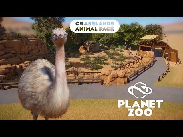 Emu || Grassland Animal Pack || Planet Zoo Speed Build