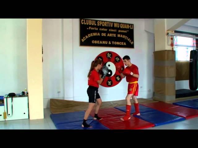 Wu Quan Li Xanda Sanshou training