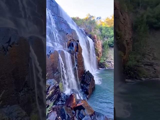 Waterfall in Victoria #melbourne #australia #viral #waterfalls #holidayvibe