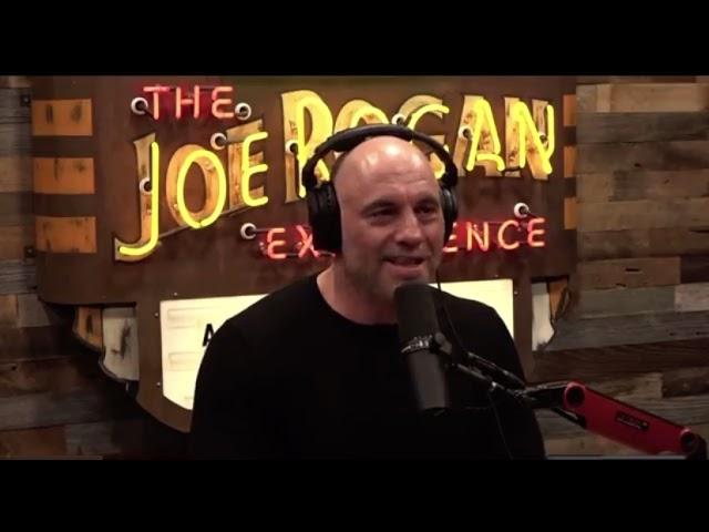 Joe Rogan & Jordan Peterson on Race “Michael Eric Dyson not black”