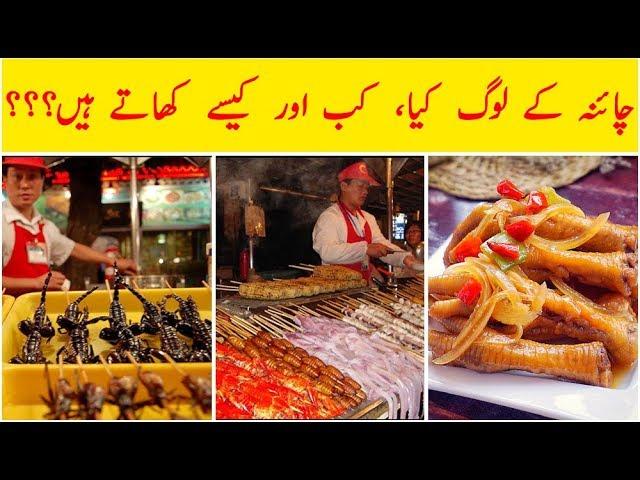 Weird Foods which Chinese People Eat Explained in Urdu / Hindi | Dilchasp Maloomat |