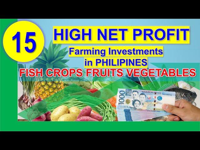 The Top 15 Agriculture Investments with Highest Net Returns in Philippine Farming