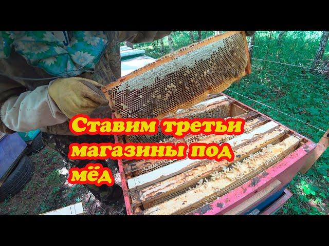 СТАВИМ ТРЕТЬИ МАГАЗИНЫ ПОД МЁД НА ТОЧКЕ №1, ИНФОРМАЦИЯ ПО МАТКАМ