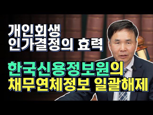 개인회생 변제계획 인가결정이 나오기까지 걸리는 기간과 인가결정 효력 (1-12)