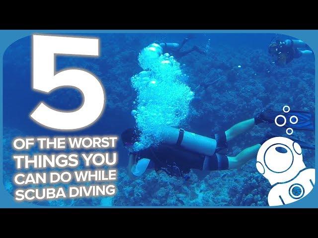 5 Of The Worst Things You Can Do While Scuba Diving