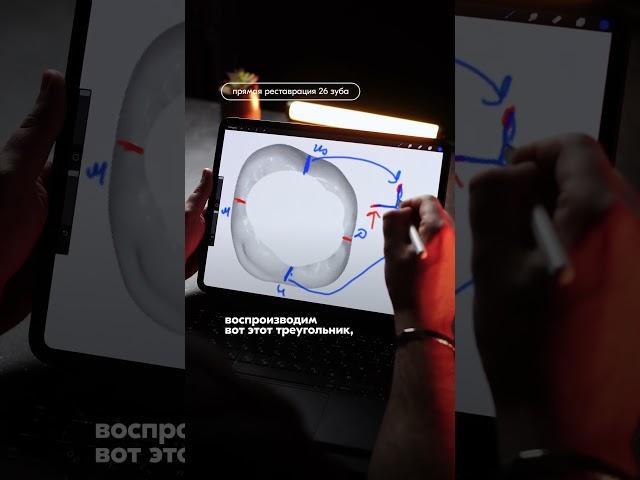 Морфология зуба 2.6