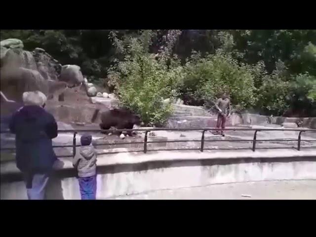 Pi*any człowiek bije się z niedźwiedziem w warszawskim zoo | man vs bear