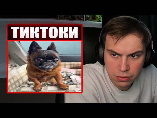 ГЛЕБ СМОТРИТ ТИКТОКИ ОТ ЗРИТЕЛЕЙ #27 | Sasavot
