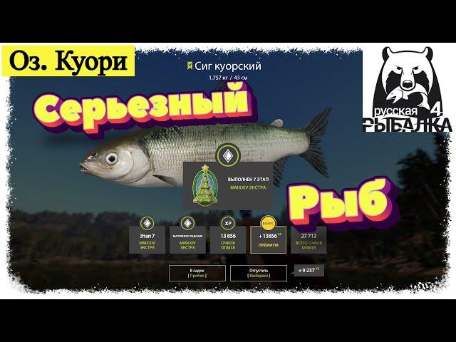 Russian Fishing 4, #РР4...Оз. Куори - Сиг Куорский.Русская рыбалка 4 #рр4