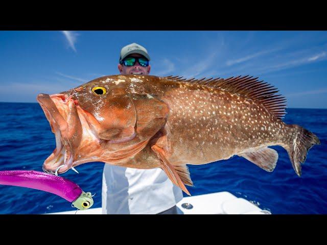 GIANT Deep Sea Grouper... Catch Clean Cook