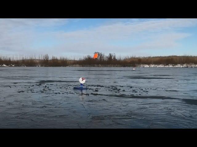 ЛЕСКА ТРЕЩИТ! ЩУКА В ПЕРВЫЙ ЛЕД - ЗИМНЯЯ РЫБАЛКА на жерлицы