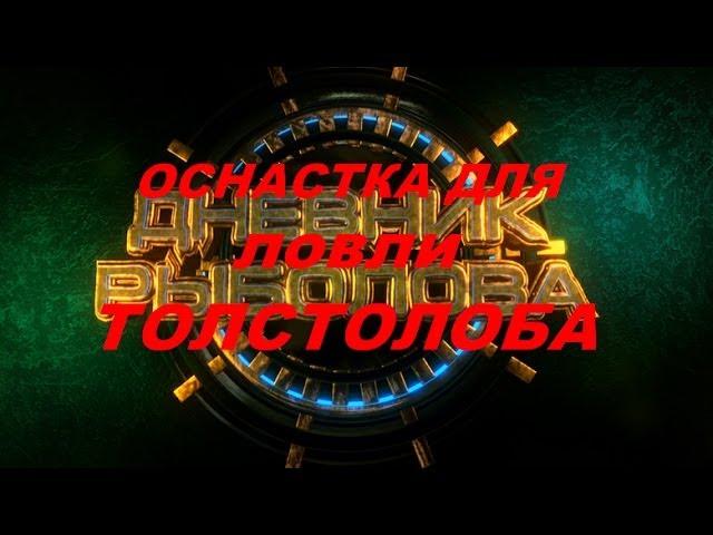 Монтаж для ловли ТОЛСТОЛОБА (Дневник рыболова)