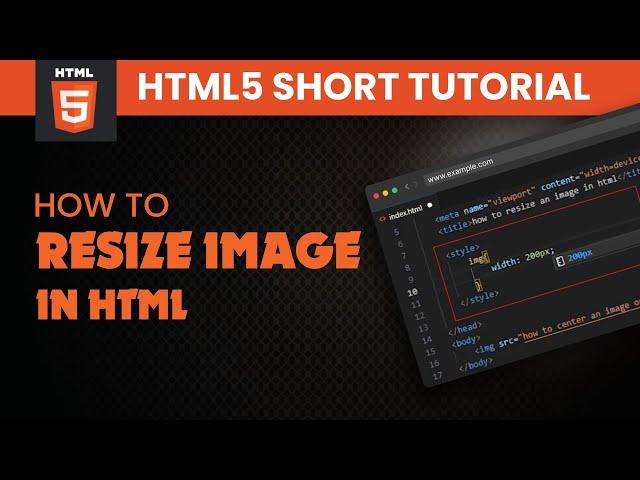 How to Resize an Image in HTML 2024 | Quick Tutorial