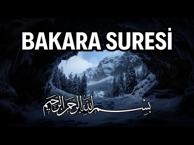 Bakara Suresi Dinle | İmanın ve Tevhidin Yol Gösterici Ayetleri | Kuran Dinle