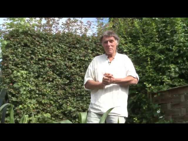 The Permaculture Gardener