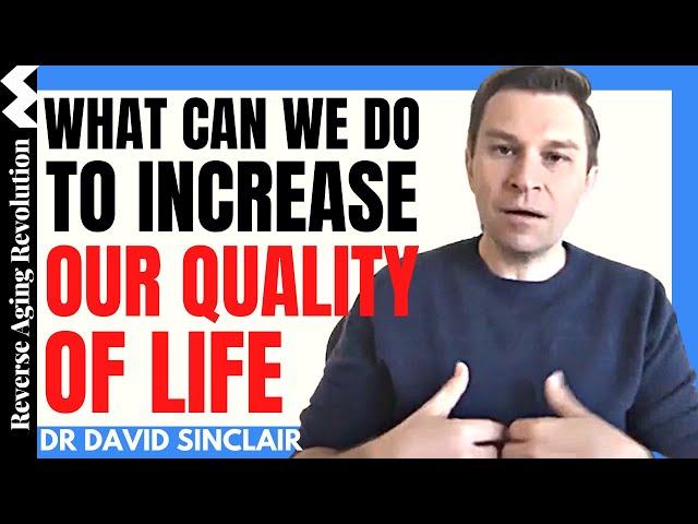 WHAT CAN WE DO To Increase Our QUALITY OF LIFE | Dr David Sinclair Interview Clips