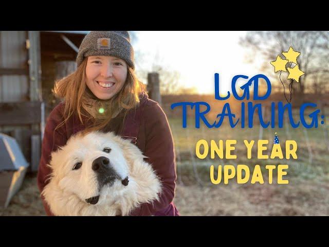 LIVESTOCK GUARDIAN DOG TRAINING TIPS (update on our lgd puppy)