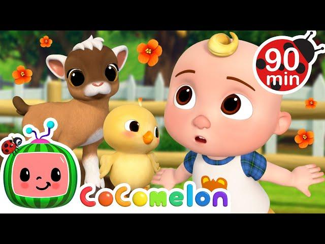 Learn Farm Animals with Baby JJ! | CoComelon | Animals for Kids | Sing Along | Learn about Animals