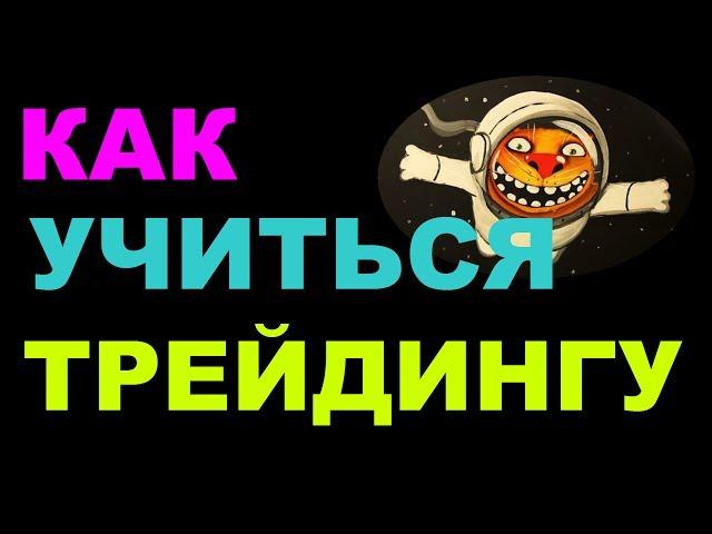 Как научиться трейдингу на форексе и на бирже