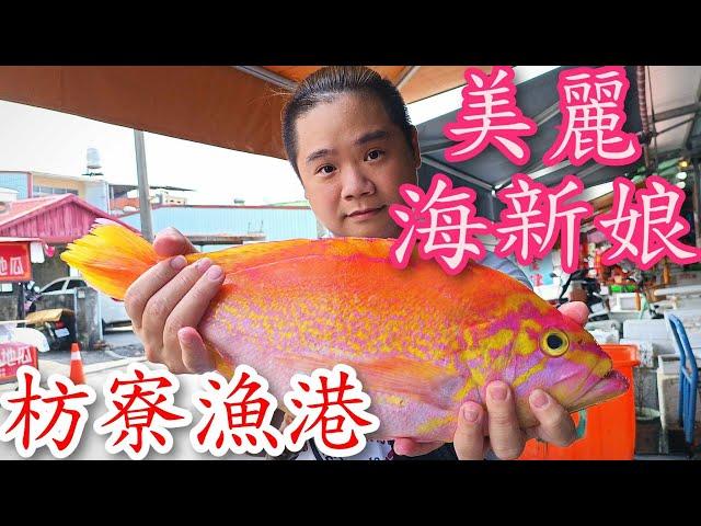 屏東枋寮漁港丨賣魚的大姐說這花鱸是最大隻的丨當日現釣新鮮魚貨丨這魚10年前一斤要1200