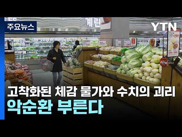 고착화된 체감 물가와 수치의 괴리...악순환 부른다 / YTN