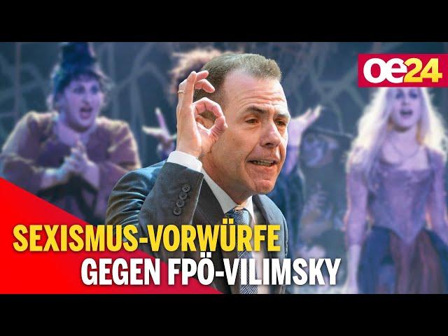 "Hexen-Trio" - Sexismus-Vorwürfe gegen FPÖ-Vilimsky