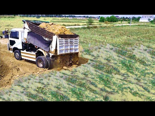 Nicely Job Project!Trucks Filling land Flood Area Feild Develop, Bulldozer Pushing Soil Perfectly