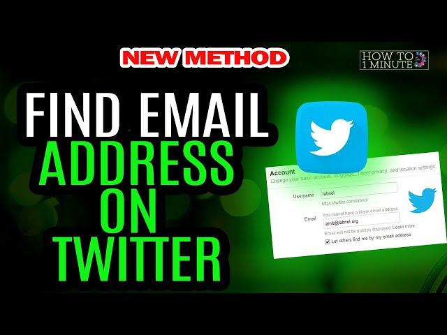 How to find email address on twitter 2024