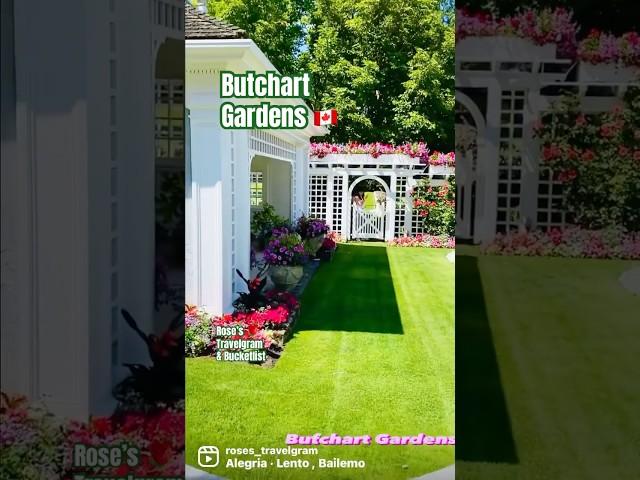 Beautiful Garden #trendingshorts  #canada #shorts #youtubeshorts #shortsfeed #ytshorts