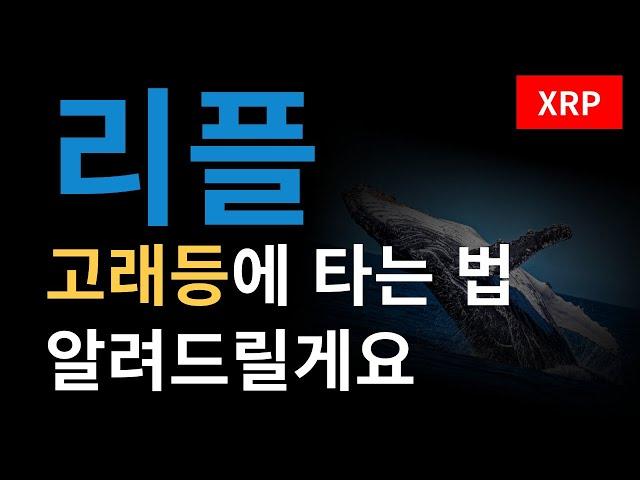 [리플 분석] XRP 고래등에 탑승하는 법 알려드립니다 자리 얼마 안남았어요