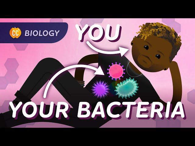 We’re full of bacteria!: Crash Course Biology #38