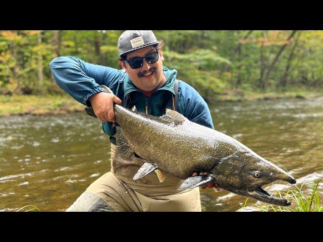 Catching The King Of The River! (2023 Salmon River Chinook Run)