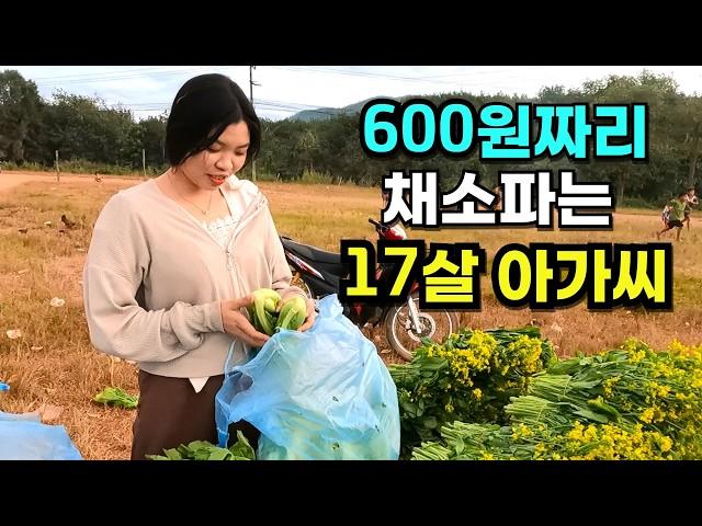 라오스에 11년산 한국인의 여행 방법