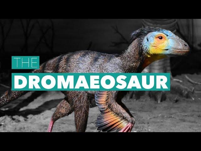 MPM Untold - The Dromaeosaur