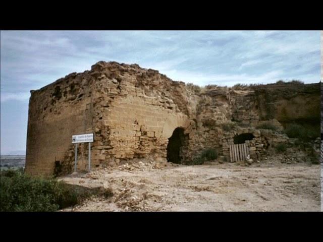 Huerto  Huesca