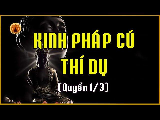 Kinh Pháp Cú Thí Dụ (QUYỂN 1/3) - Những Bài Pháp Ngắn Thông Qua Các Câu Chuyện Nhân Quả Thiện Ác