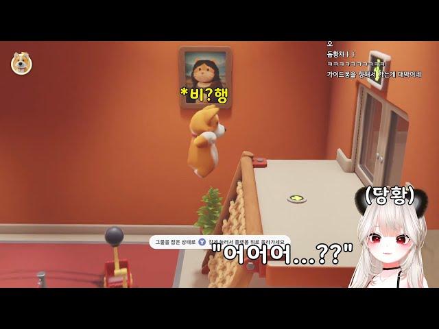 [도클립] 고양이로봇 앞에서 곡예를 시전한 너구리