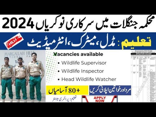 Wildlife Park Department Jobs 2024 | How To Apply For  Wildlife and Parks Punjab  Department  Jobs