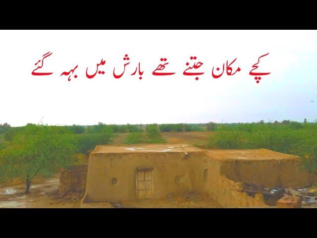 Barish ka mosam | kachy makan  | happy rain day | wasaib info tv