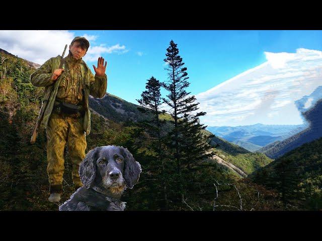 ORDINARY JOURNEY THROUGH THE UNUSUAL PRIMORSKY TAIGA. Fishing, taiga, wild plants.