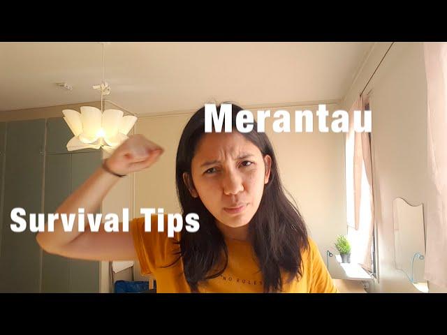 Merantau | Survival Tips