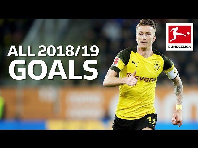 Marco Reus - All Goals 2018/19