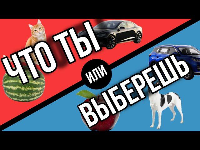 Что ты выберешь #shorts #чтотывыберешь