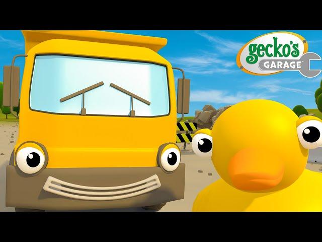 The Construction Song | Gecko's Garage Songs｜Kids Songs｜Trucks for Kids