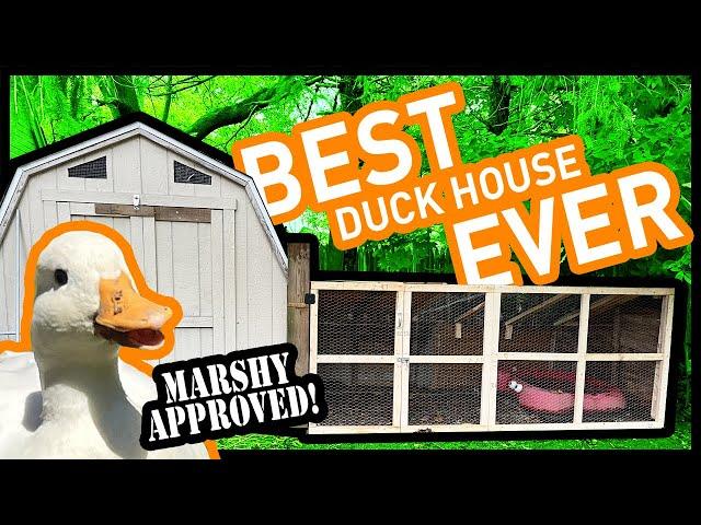 Easiest Duck House for Quick Farm Chores