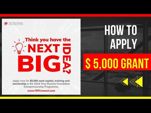 $5000 Grant for YOUR Business! How to Apply to Tony Elumelu Foundation Entrepreneurship Program 2024