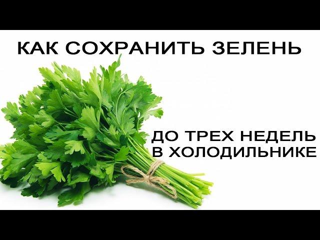 Как сохранить зелень до 3-ох недель в холодильнике.