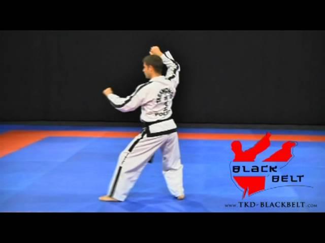 WON - HYO by Jaroslaw Suska - www.tkd-blackbelt.com