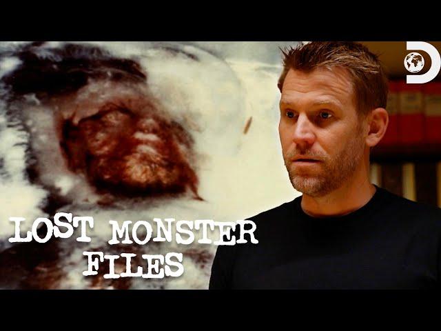 Evidence of the Minnesota Wild Man? | Lost Monster Files | Discovery